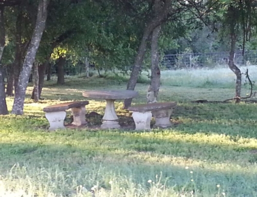 How Much Does Green Burial Cost? A Complete Guide to Prices and Eco-Friendly Options