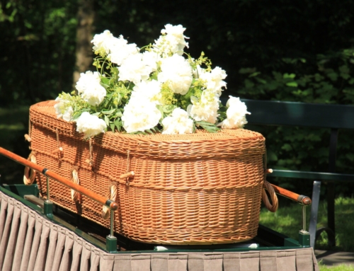 How Much Does a Green Burial Cost? A Complete Guide