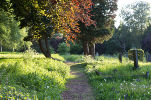 path through burial site-how much does a green burial cost